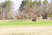 Enlarge photo 372