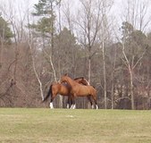 Enlarge photo 367