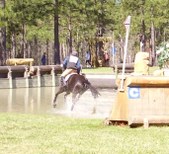 Enlarge photo 375