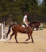 Enlarge photo 72