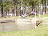 Enlarge photo 382