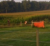 Enlarge photo 20