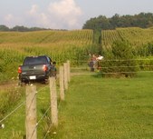 Enlarge photo 22