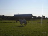 Enlarge photo 29