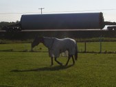 Enlarge photo 26