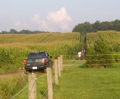 Enlarge photo 21