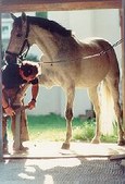 Enlarge photo 303