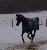 Enlarge photo 118