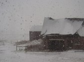 Enlarge photo 115