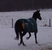 Enlarge photo 126