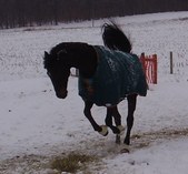 Enlarge photo 120