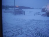 Enlarge photo 114