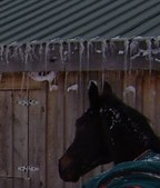 Enlarge photo 119