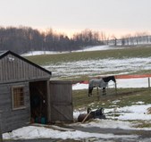 Enlarge photo 157