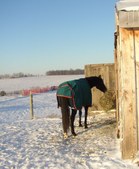 Enlarge photo 152