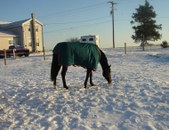 Enlarge photo 153
