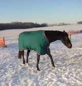 Enlarge photo 155