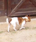 Enlarge photo 336