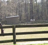 Enlarge photo 185
