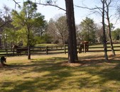 Enlarge photo 183
