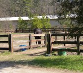 Enlarge photo 184