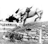 Enlarge photo 307