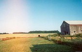 Enlarge photo 139