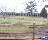Enlarge photo 335
