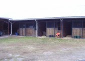 Enlarge photo 334