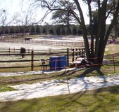 Enlarge photo 97