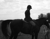 Enlarge photo 42