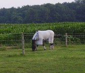 Enlarge photo 34