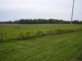 Enlarge photo 62