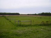 Enlarge photo 63
