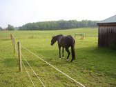 Enlarge photo 454