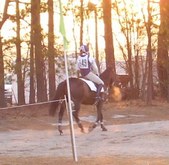 Enlarge photo 356