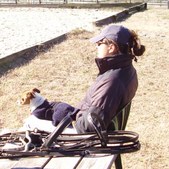 Enlarge photo 337