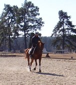 Enlarge photo 345