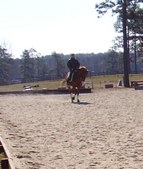 Enlarge photo 344