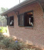 Enlarge photo 218