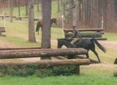 Enlarge photo 231