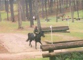Enlarge photo 232