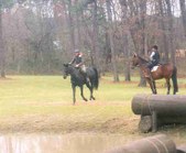 Enlarge photo 233