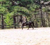 Enlarge photo 242