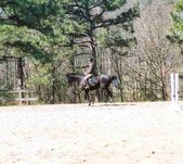 Enlarge photo 243
