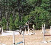 Enlarge photo 244