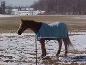 Enlarge photo 142