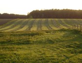 Enlarge photo 416