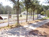 Enlarge photo 389