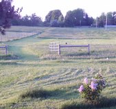 Enlarge photo 415
